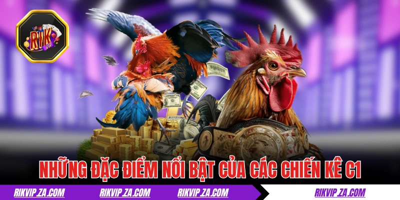 Đá Gà C1- Nơi Hội Tụ Những Chiến Kê Máu Lửa Hàng Đầu 2 Những đặc điểm nổi bật hàng đầu của các chiến kê C1