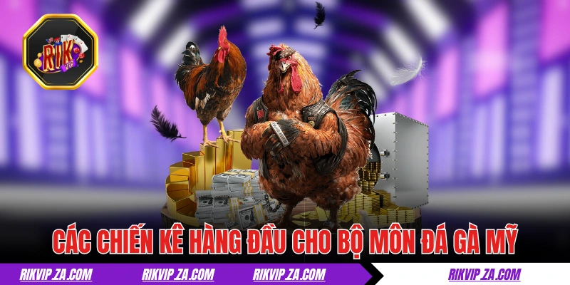 Các chiến kê hàng đầu cho bộ môn đá gà Mỹ